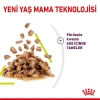 Royal Canin Sensory Smell Pouch Yaş Kedi Maması 85 Gr