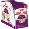 Royal Canin Sensory Taste Pouch Yaş Kedi Maması 85 Gr