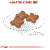 Royal Canin Shn Mini Adult 2K