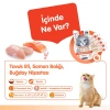 Wanpy Digestive Health Somon Balığı&Tavuklu Kedi Ödülü 5x14gr