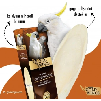Gold Wings PremiumPremium Mürekkep Bal.Kemiği Büyük