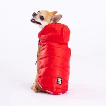 Pawstar Köpek Kırmızı Railway Yelek Medium