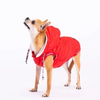 Pawstar Köpek Kırmızı Railway Yelek XLarge
