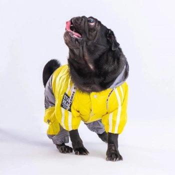 Pawstar Köpek Yellow-Grey Bicolor Rompers XL Sırt38cm Göğüs55cm Boyun34cm