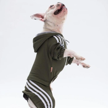 Pawstar Haki Tuta Tulum Medium Size