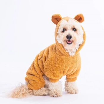 Pawstar Brown Koala Medium