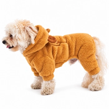 Pawstar Brown Koala XLarge