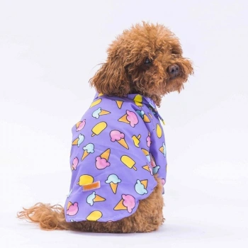Pawstar Ice Cream Pattarned Medium Size