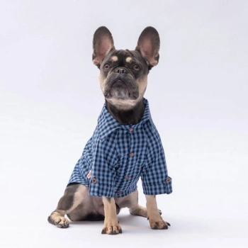 Pawstar Luss Seri Gömlek Medium Size