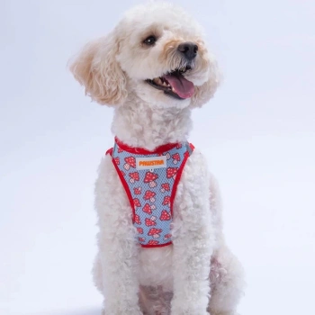 Pawstar Mushroom Airmesh XS 3-5 Kg