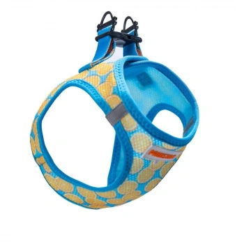 Pawstar Citrius Airmesh Xs Size 3-5 Kg