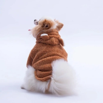Pawstar Lucca Tedy Hodie 2XLarge