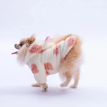 Pawstar Sappora Bear Hoodie Medium