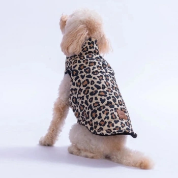 Pawstar Mbeya Gold Leopar Ceket XLarge