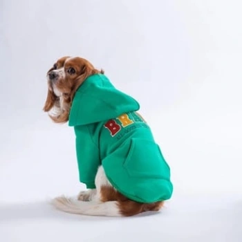 Pawstar Green Bronx Brave Medium Size