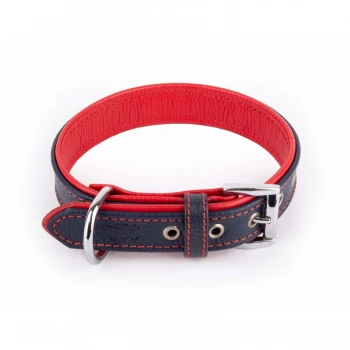 Daisy Flotter Deri Köpek Tasması XL-4cm Laci-Kırmızı