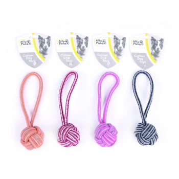 Ally Paws 20cm Köpek Diş İpi