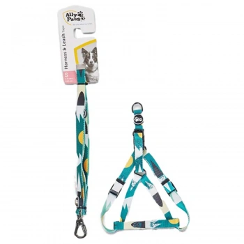 Ally Paws Harness & Leash Tape Göğüs Tasması ve Gezdirme Kayışı Small 1