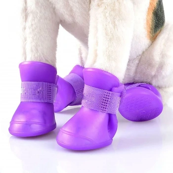 ALLY PAWS KÖPEK AYAKKABISI MİX COLOR (L) 4LÜ