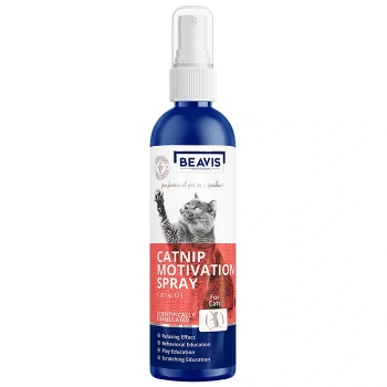 BeavisCatnip Motivation Spray 100 ml