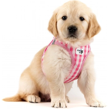 Curli Vest Harness Air-Mesh Pink-Caro Design 3 Xs & Leash M