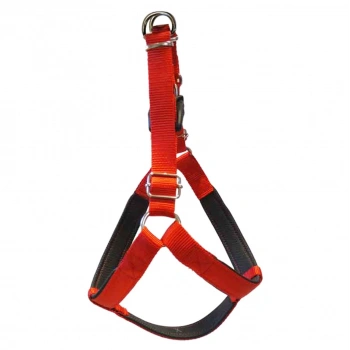 Daisy Köpek Yumuşak Doku Göğüs Tasması No:6