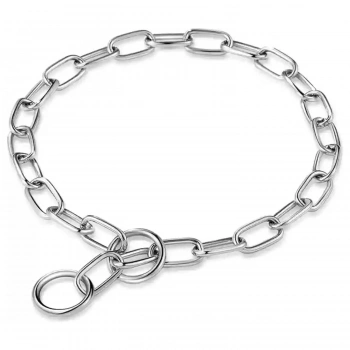 DOGLİFE KÖPEKLER İÇİN EĞİTİM BOYUN ZİNCİRİ 3MMX60CM