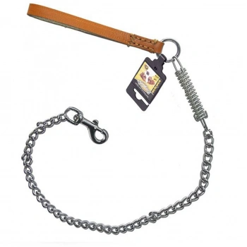 DOGLİFE KÖPEKLER İÇİN SOFT SAPLI YAYLI ZİNCİR GEZDİRME 4MMX60CM