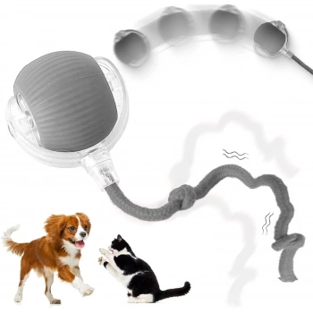 İpli USB Şarjlı Hareketli İneraktif Top