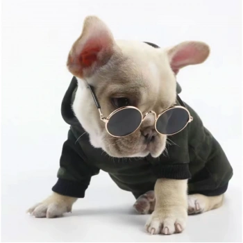 Kedi Köpek Gözlüğü İp Hediyeli