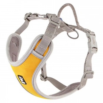 Nunbell Köpek Gögüs Tasmasi Xl