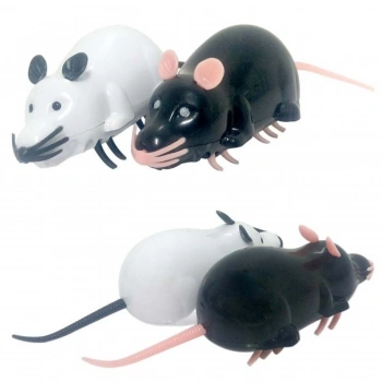 Nunbell Pilli Robot Fare Hareketli