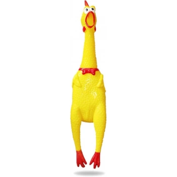 Öten Oyun Horozu (M)