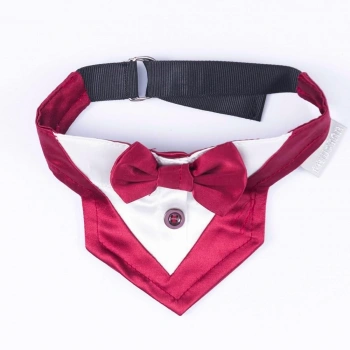 PawStar Bordo Smokin Fular