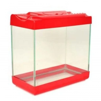 Renkli Akvaryum Küçük Boy