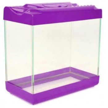 Renkli Kapaklı Akvaryum Büyük Boy