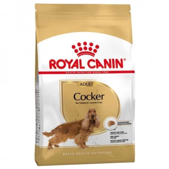 Royal Canin Bhn Cocker Adult 3K