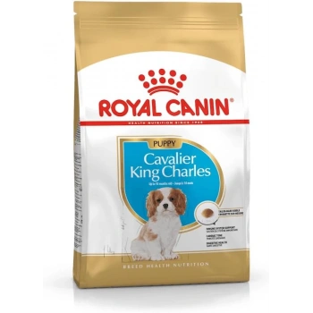 Royal Canin Cavalier King Charles Junior 1.5 Kg Yavru Kuru Köpek Maması