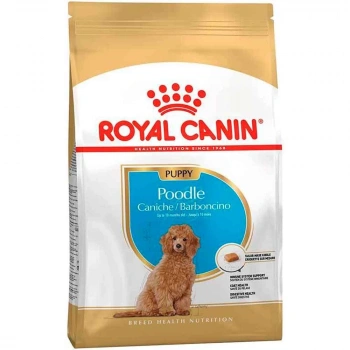 Royal Canin Poodle Junior Yavru Köpek Maması 3 Kg