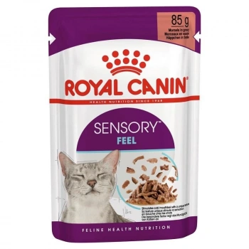 Royal Canin Sensory Feel Pouch Yaş Kedi Maması 85 Gr