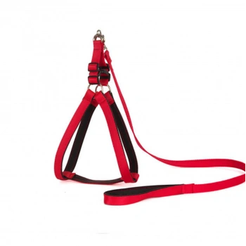 Yumuşak Dokulu Göğüs Tasma ve Gezdirme No:0