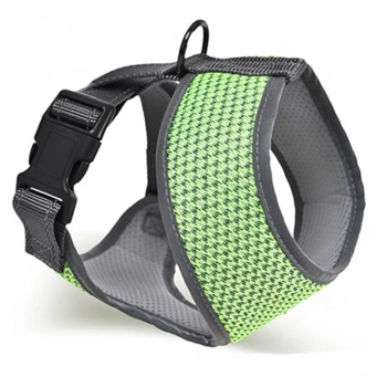 Zampa Finix Köpek Gövde Tasması Yeşil Small 28x34-45 Cm