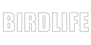 Birdlife