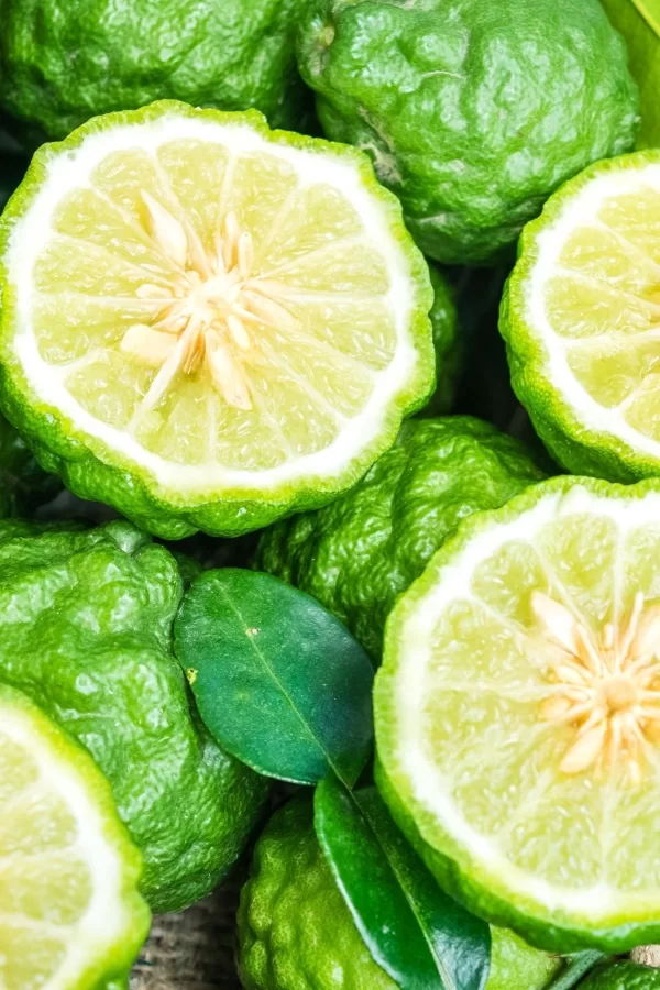 Toptan Bergamot Saf Esansiyel Uçucu Koku Yağı