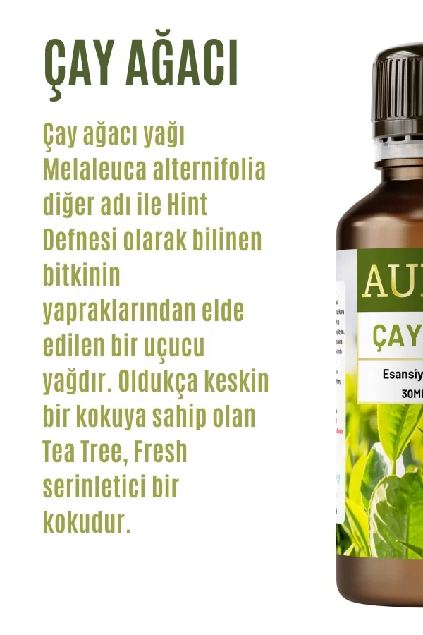 Toptan Çay Ağacı Saf Esansiyel Uçucu Koku Yağı