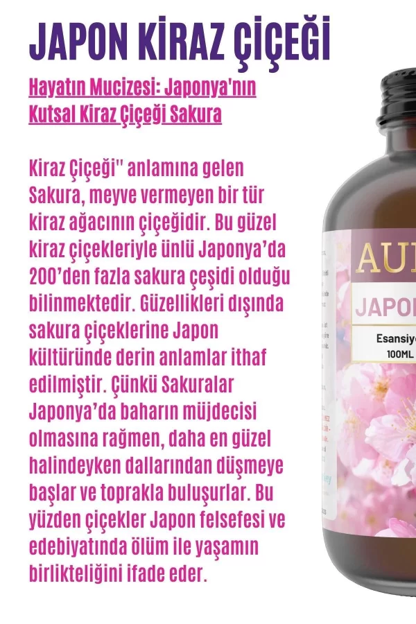 Toptan Japon Kiraz Çiçeği Saf Esansiyel Uçucu Koku Yağı