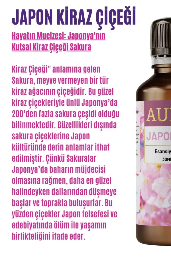 Toptan Japon Kiraz Çiçeği Saf Esansiyel Uçucu Koku Yağı