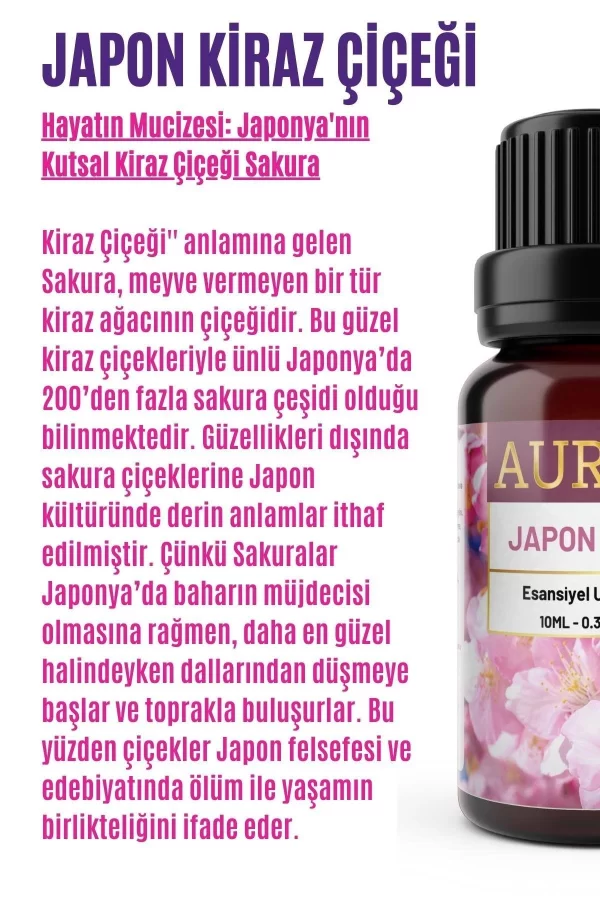 Toptan Japon Kiraz Çiçeği Saf Esansiyel Uçucu Koku Yağı