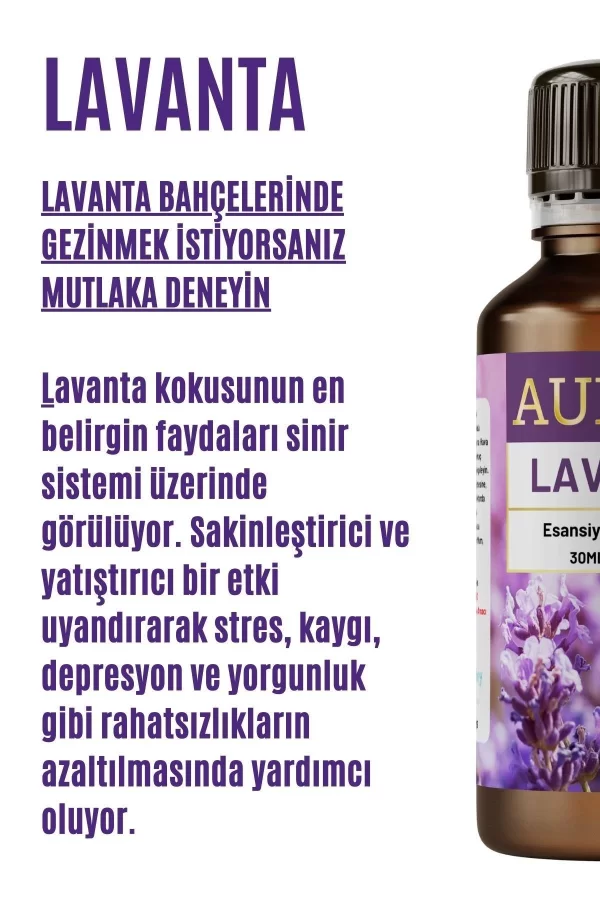 Toptan Lavanta Saf Esansiyel Uçucu Koku Yağı