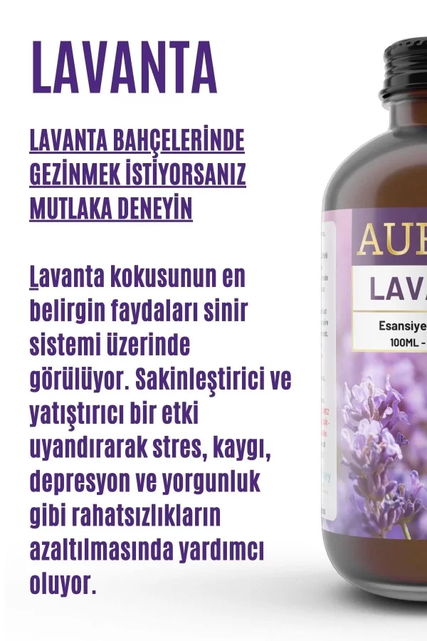 Toptan Lavanta Saf Esansiyel Uçucu Koku Yağı